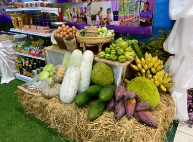 สมเด็จพระกนิษฐาธิราชเจ้า กรมสมเด็จพระเทพรัตนราชสุดา ฯ ... พารามิเตอร์รูปภาพ 81